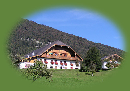 Willkommen am MOAHOF in St.Wolfgang am Wolfgangsee !